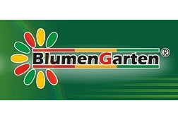 Blumen Garten