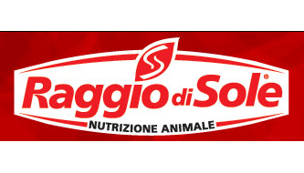 raggiodisole